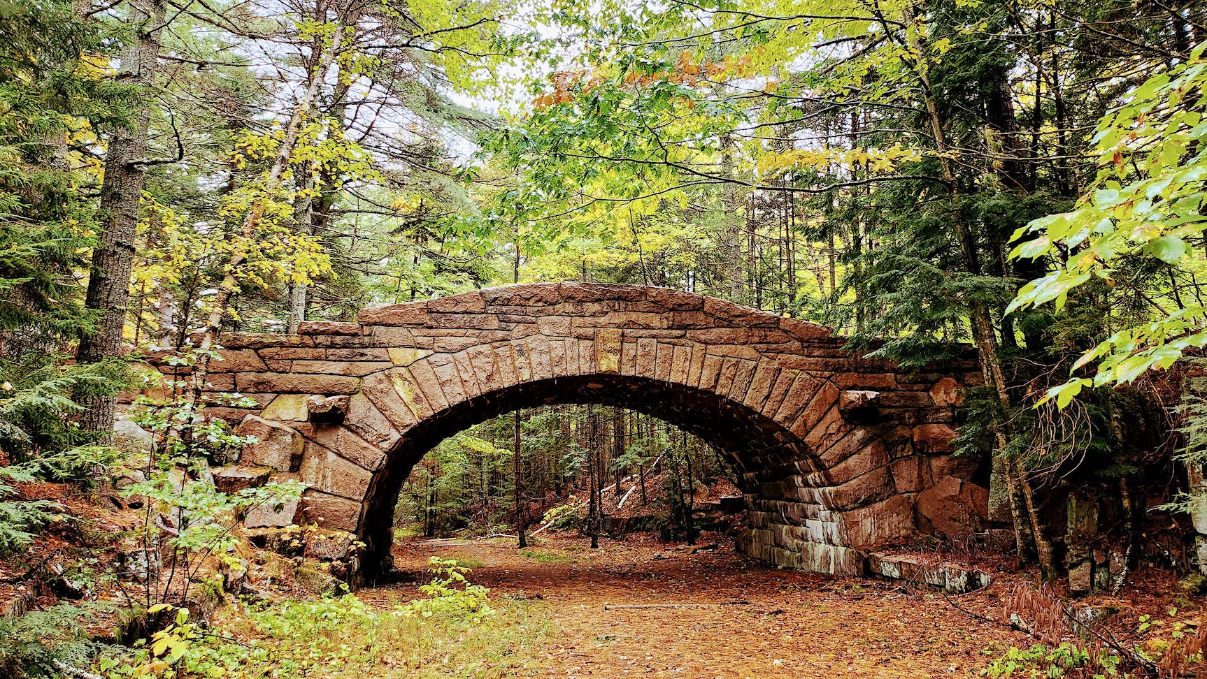 Bubble bridge